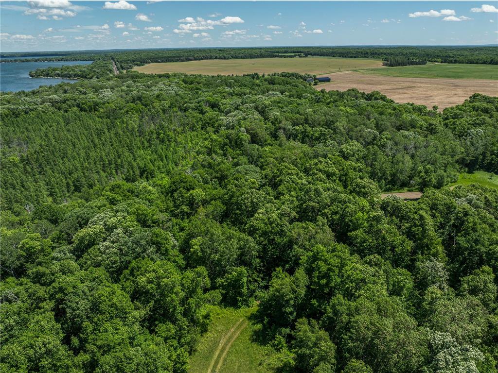 38XXX 385th Street Dead Lake Twp MN 56576 - Lily Lake 7070458 image16