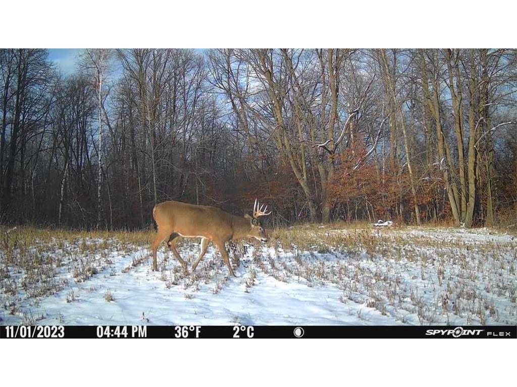 38XXX 385th Street Dead Lake Twp MN 56576 - Lily Lake 7070458 image17