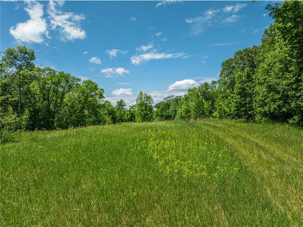 38XXX 385th Street Dead Lake Twp MN 56576 - Lily Lake 7070458 image18