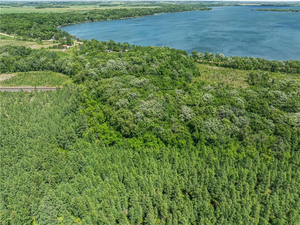 38XXX 385th Street Dead Lake Twp MN 56576 - Lily Lake 7070458 image2