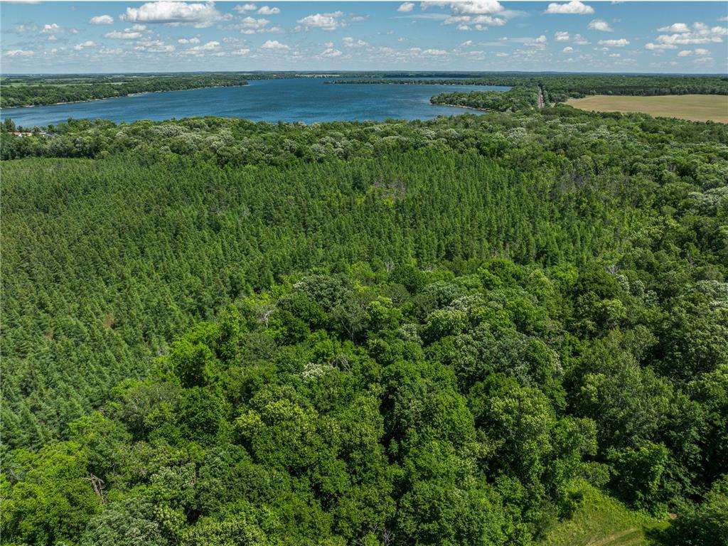 38XXX 385th Street Dead Lake Twp MN 56576 - Lily Lake 7070458 image21