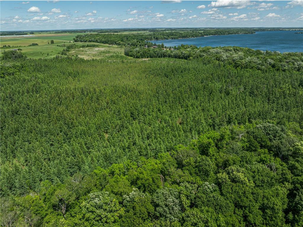 38XXX 385th Street Dead Lake Twp MN 56576 - Lily Lake 7070458 image25
