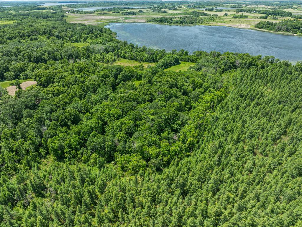 38XXX 385th Street Dead Lake Twp MN 56576 - Lily Lake 7070458 image28