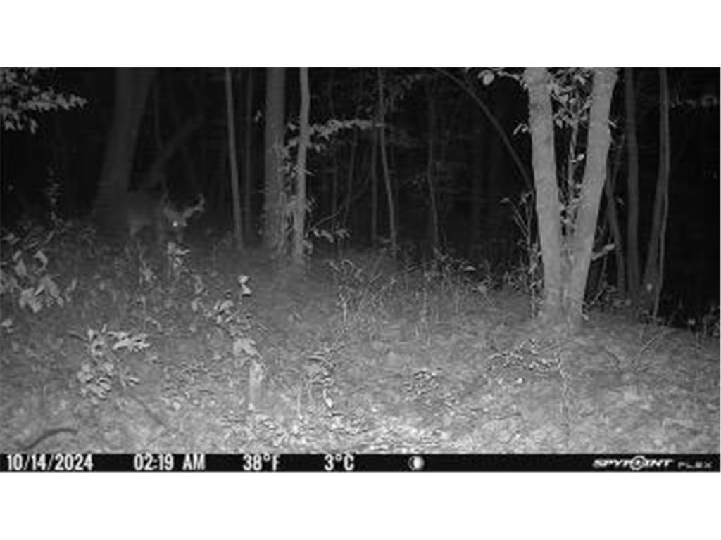 38XXX 385th Street Dead Lake Twp MN 56576 - Lily Lake 7070458 image31