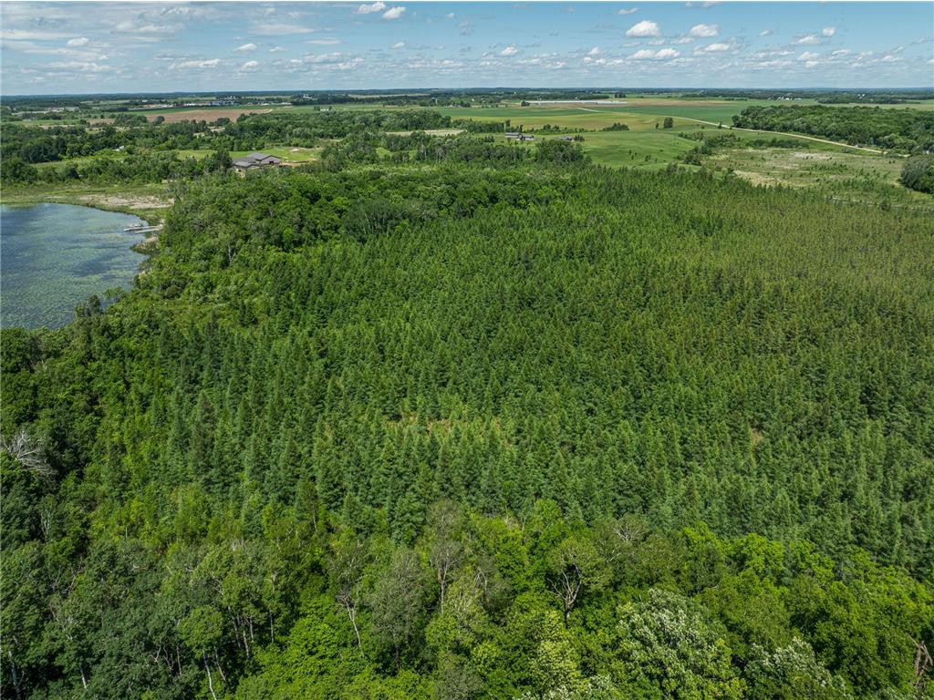 38XXX 385th Street Dead Lake Twp MN 56576 - Lily Lake 7070458 image32
