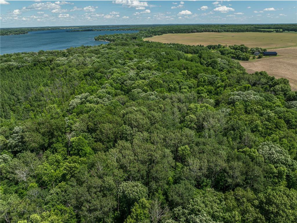 38XXX 385th Street Dead Lake Twp MN 56576 - Lily Lake 7070458 image36