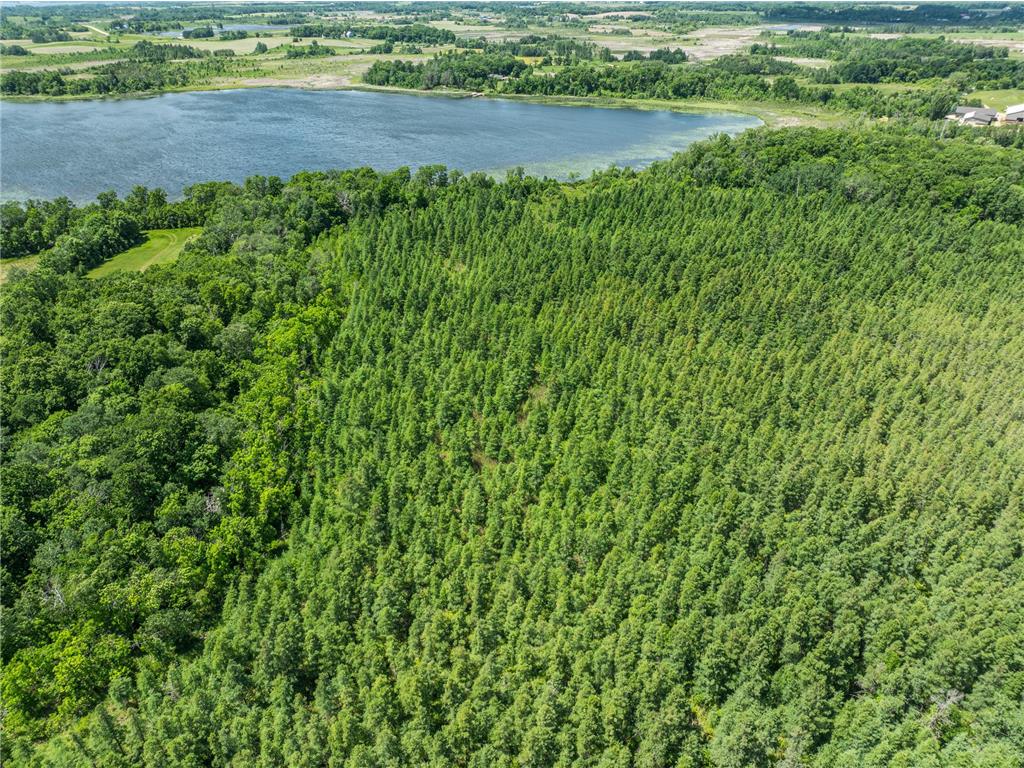 38XXX 385th Street Dead Lake Twp MN 56576 - Lily Lake 7070458 image39