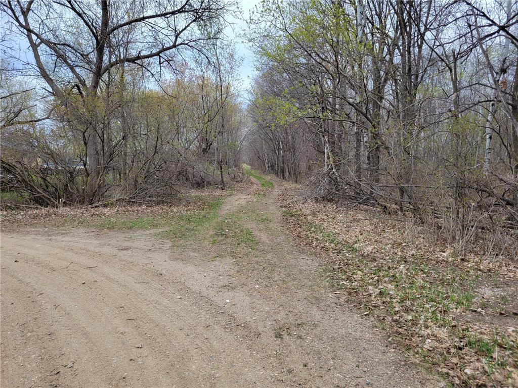 38XXX 385th Street Dead Lake Twp MN 56576 - Lily Lake 7070458 image40