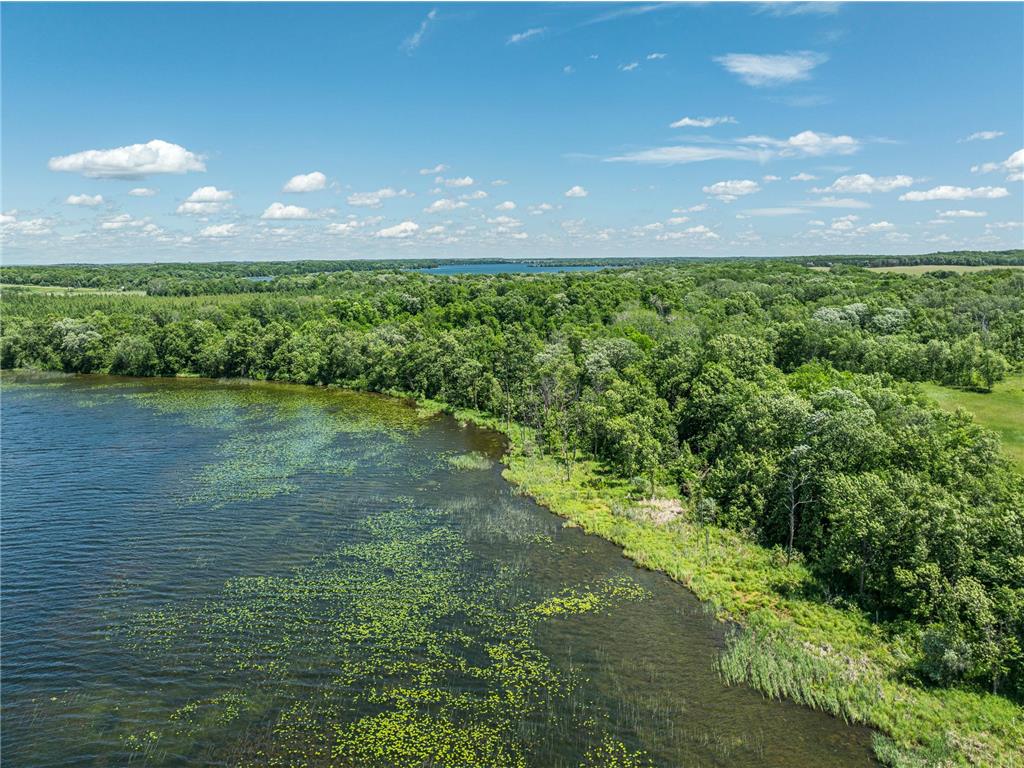 38XXX 385th Street Dead Lake Twp MN 56576 - Lily Lake 7070458 image9