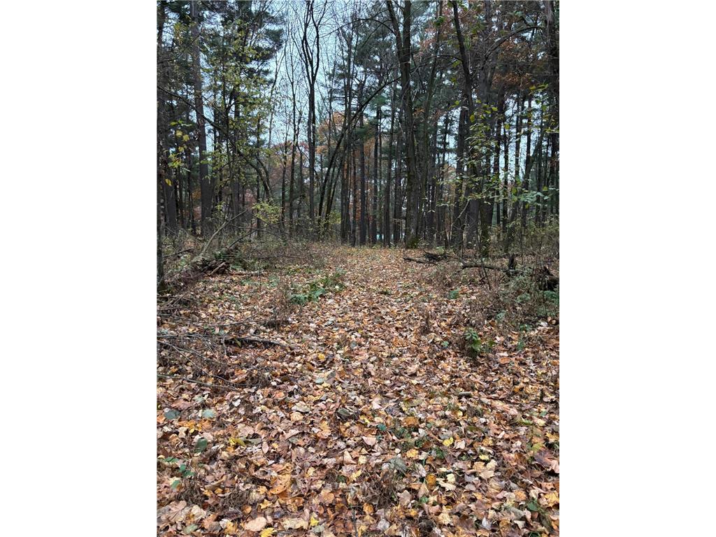 38xxx Jivaro Street NW Dalbo MN 55017 6797392 image1