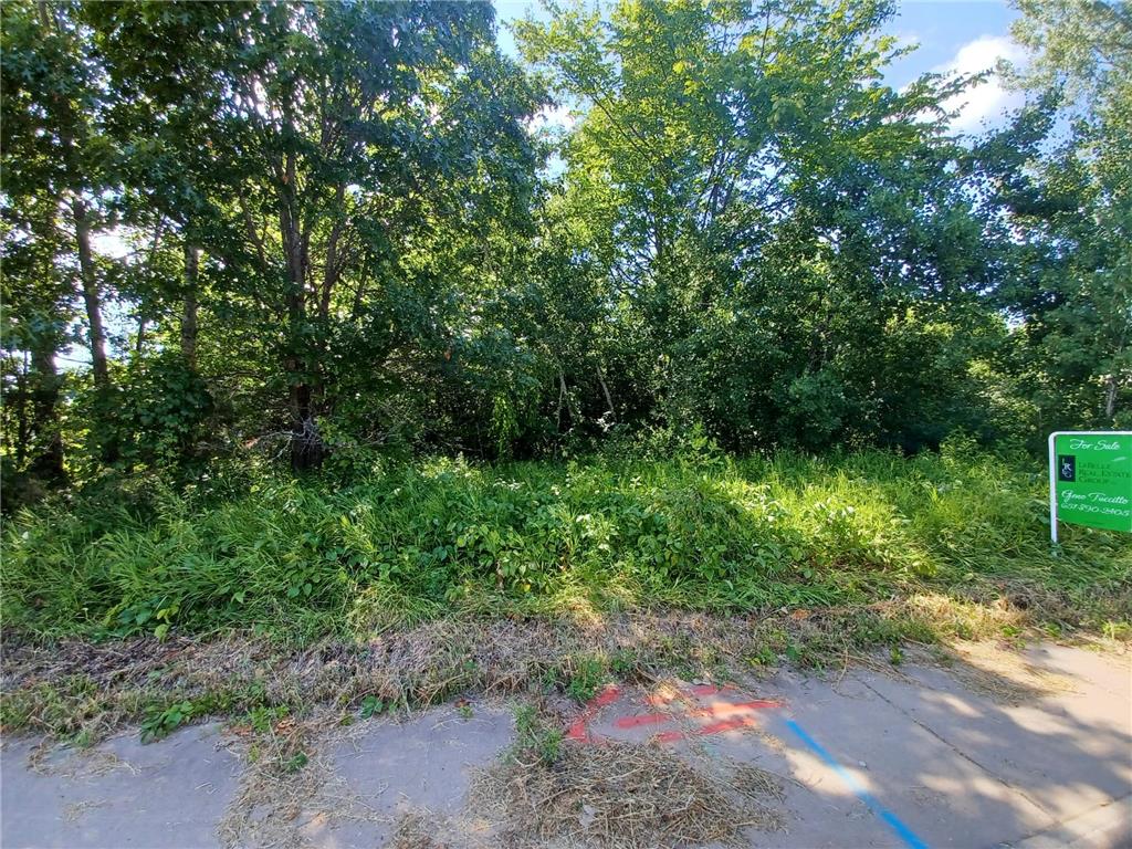 38xxx Oakview Ave North Branch MN 55056 7058504 image1