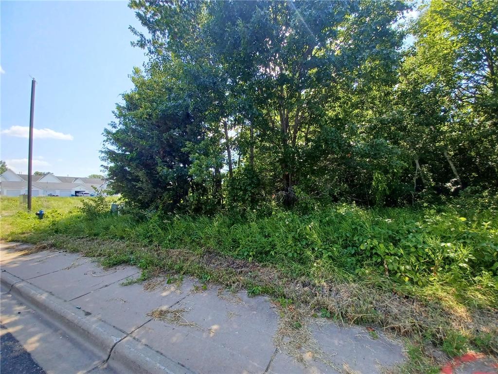 38xxx Oakview Ave North Branch MN 55056 7058504 image2