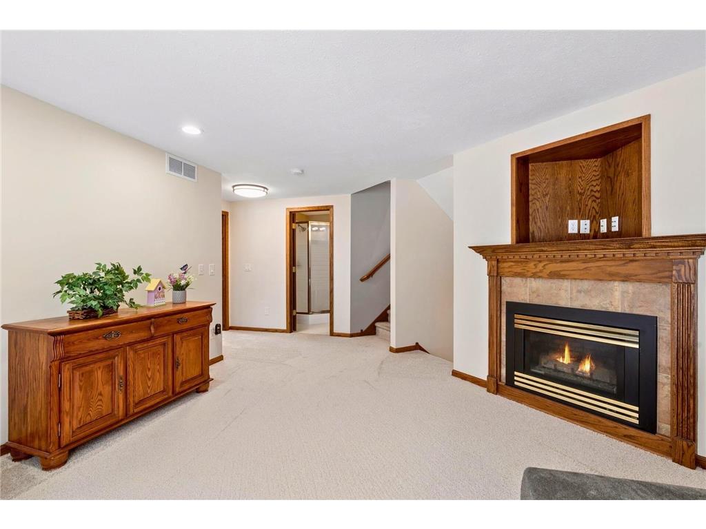 39 154th Avenue NE Ham Lake MN 55304 7019253 image20