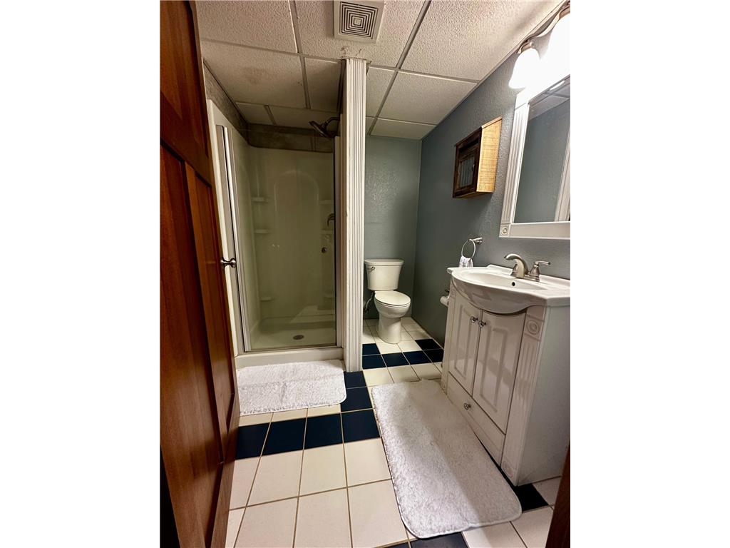 390 N Broadway Street Vesta MN 56292 7067544 image18