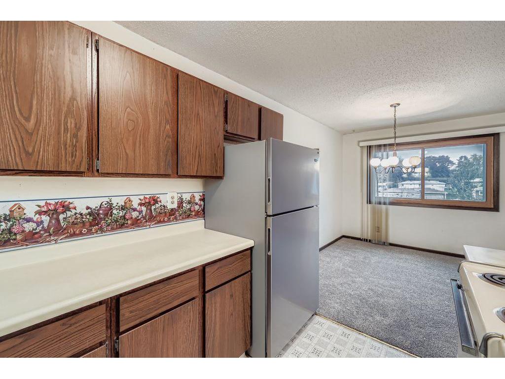 3901 Conroy Trail Inver Grove Heights MN 55076 6814273 image6