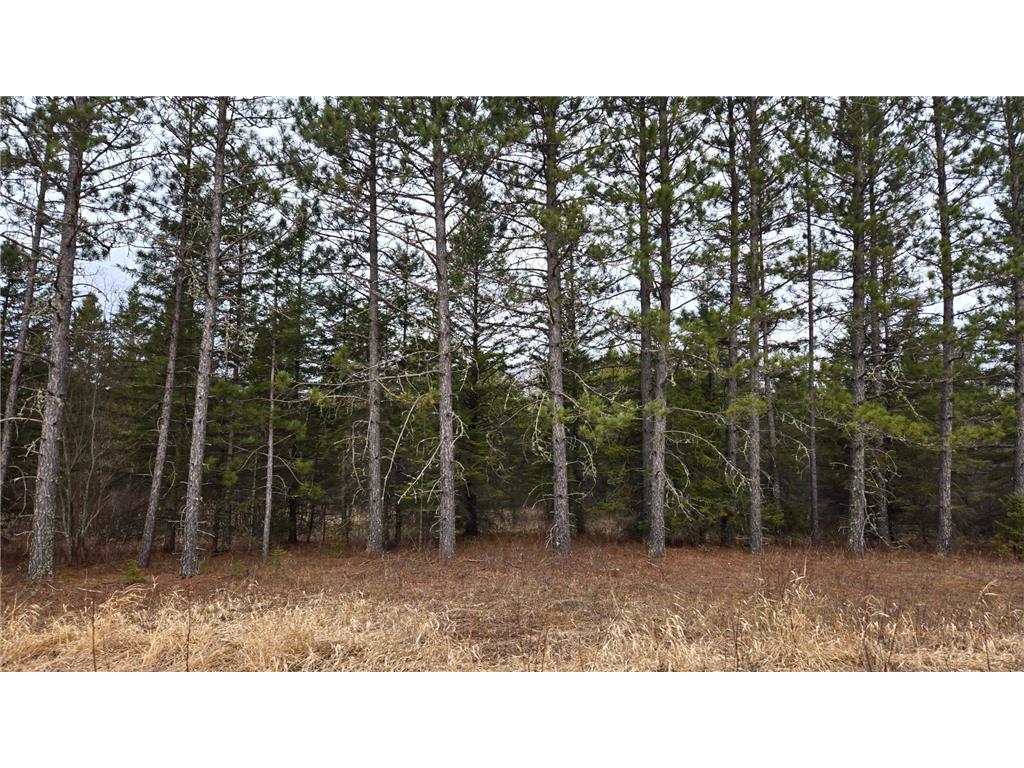 3901 Ollila Road Leiding Twp MN 55771 6521916 image1