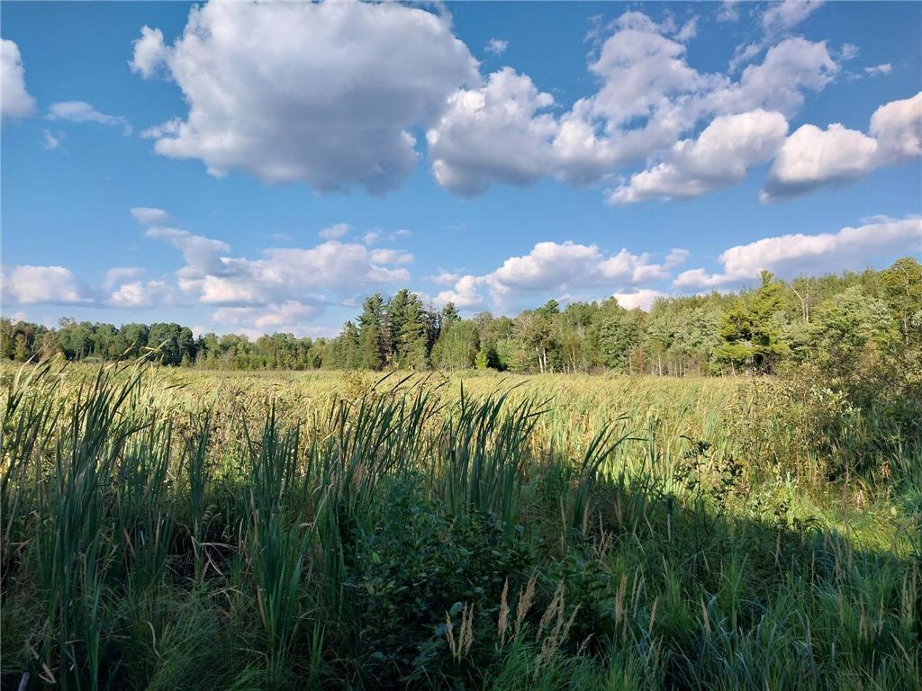 3901 Pleasant Lane Fayal Twp MN 55734 - Pleasant Lake 7005550 image10