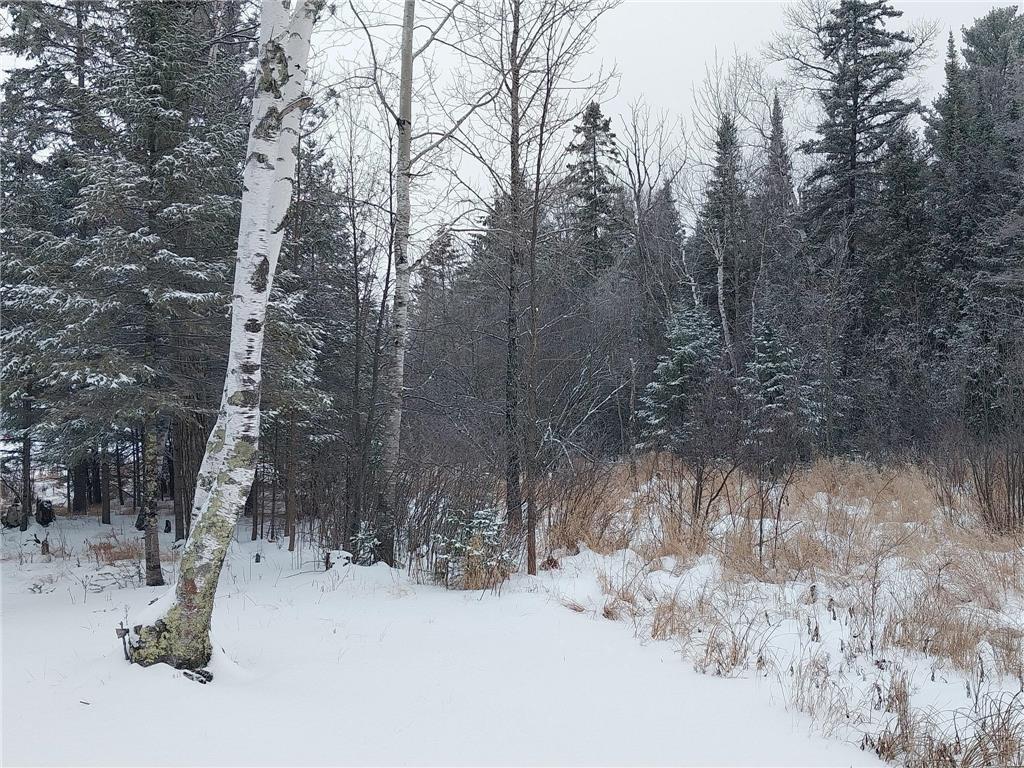 3901 Pleasant Lane Fayal Twp MN 55734 - Pleasant Lake 7005550 image31
