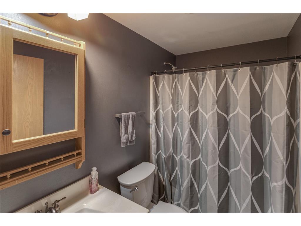 39034 County 45 Laporte MN 56461 7034924 image22