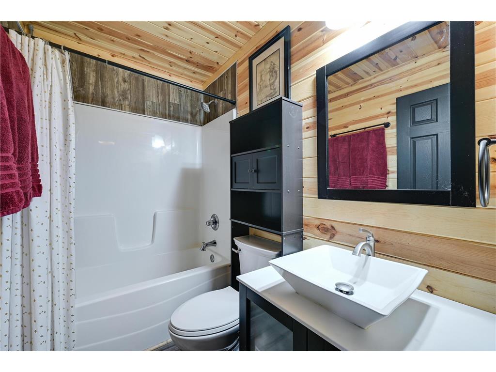 39057 Variolite Street NW Dalbo Twp MN 55017 6723997 image10