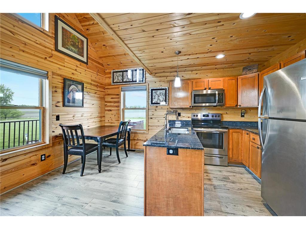 39057 Variolite Street NW Dalbo Twp MN 55017 7035975 image7
