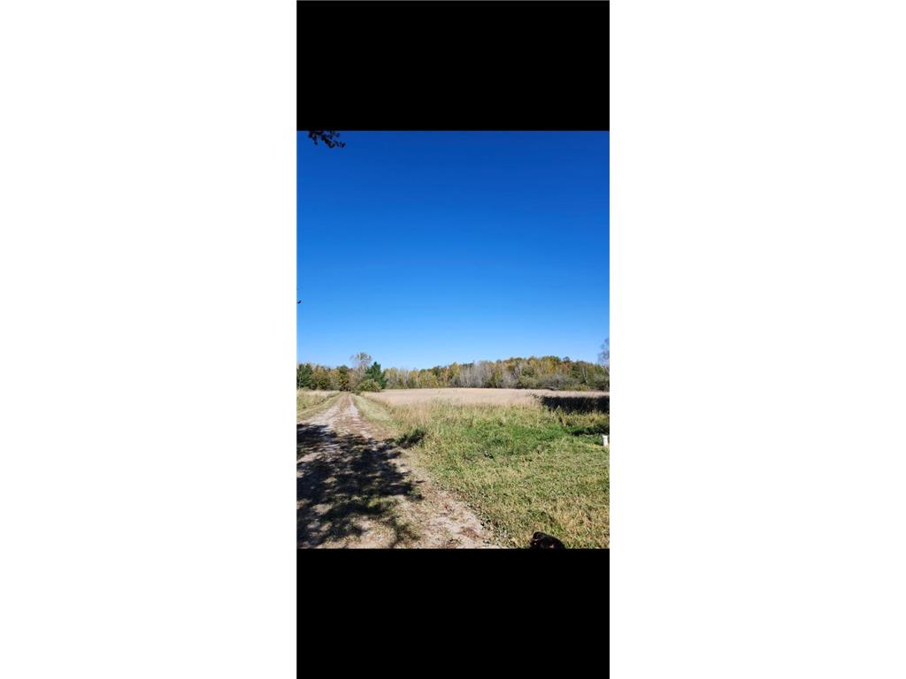 39079 540th Lane Palisade MN 56469 6670681 image1