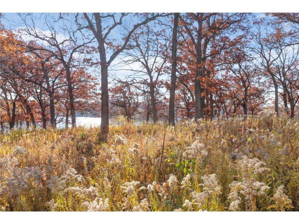 3908 Hayes Street NE Columbia Heights MN 55421 7067638 image35