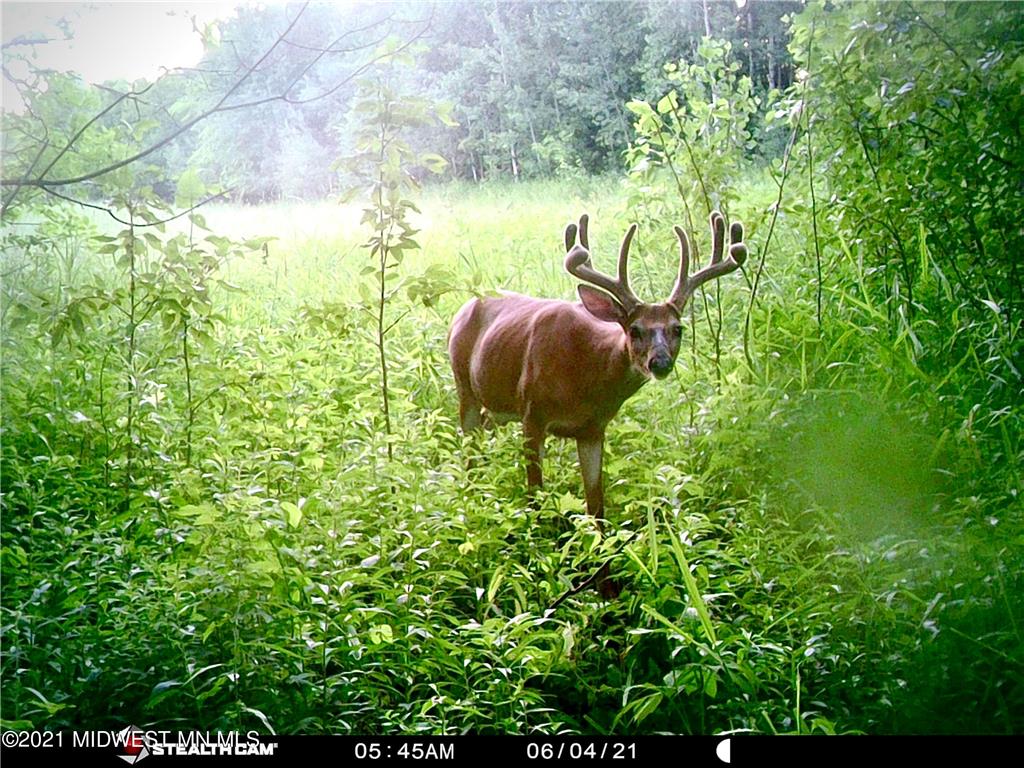 36933 285th Ave Ogema MN 56569 6208256 image1