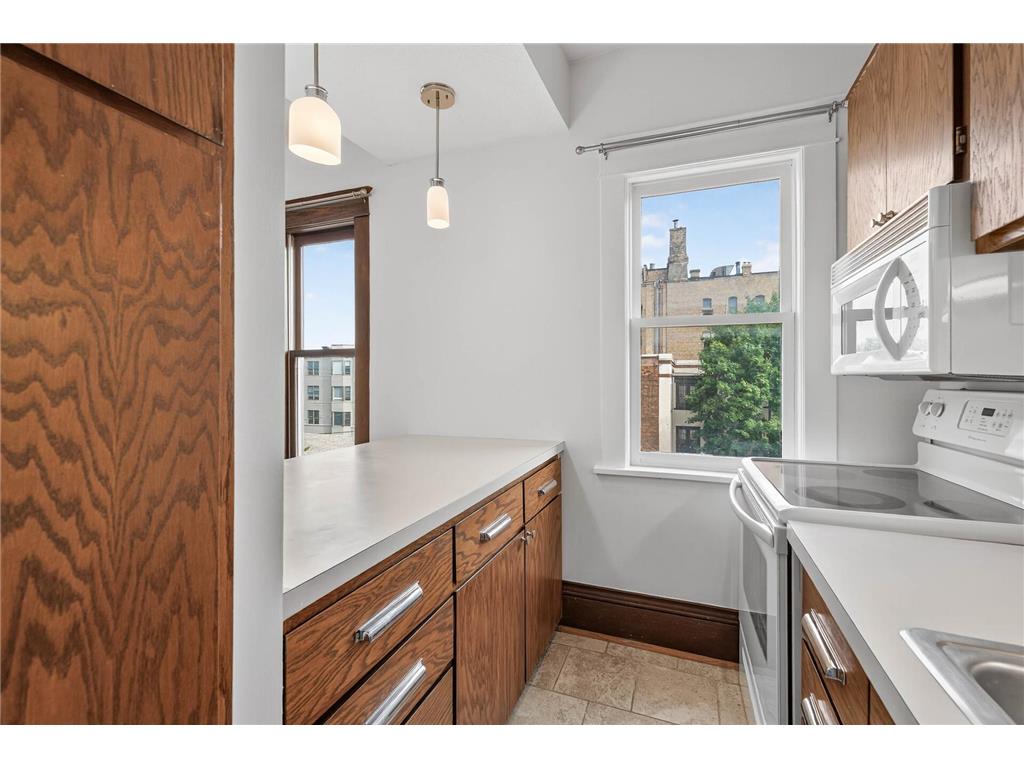 391 Laurel Avenue #304 Saint Paul MN 55102 7045135 image24
