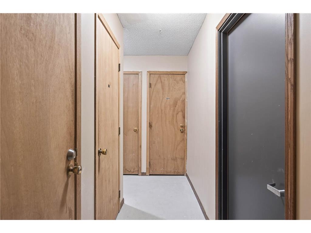 391 Laurel Avenue #304 Saint Paul MN 55102 7045135 image34