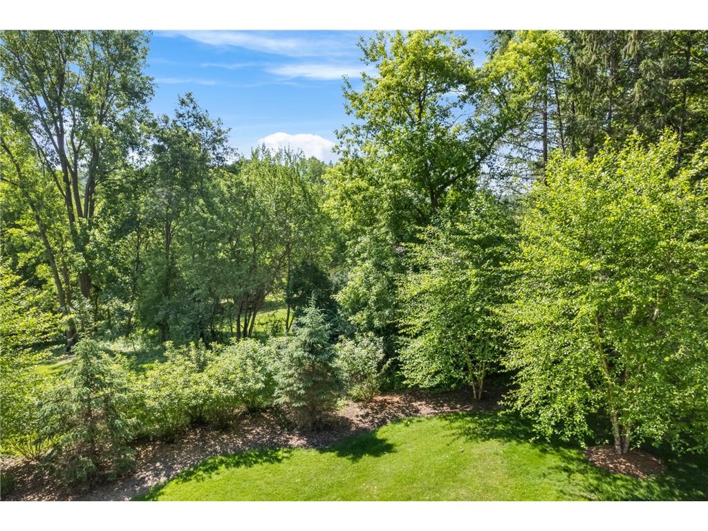 39109 Karen Court Homer Twp MN 55987 7094852 image30