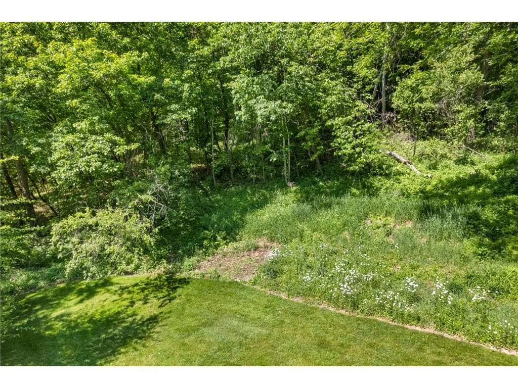 39109 Karen Court Homer Twp MN 55987 7094852 image31