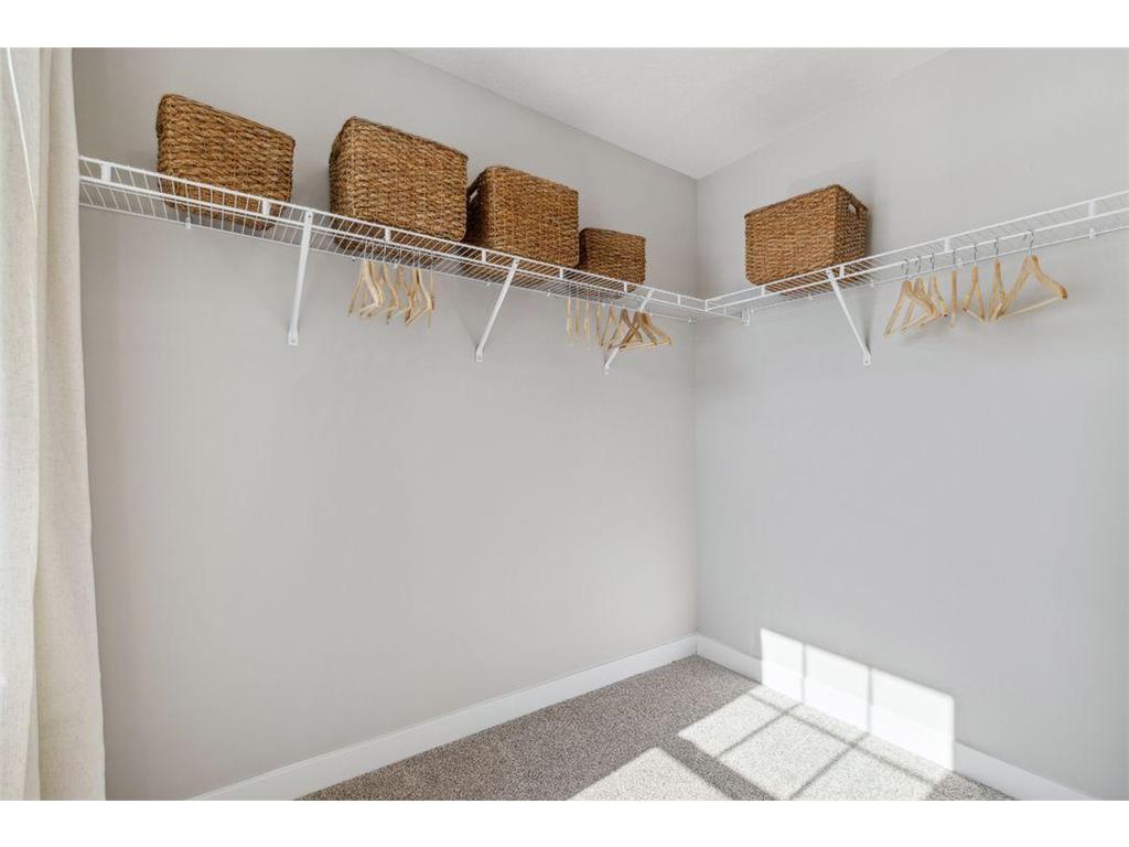 3917 Carver Path Chaska MN 55318 6778192 image39