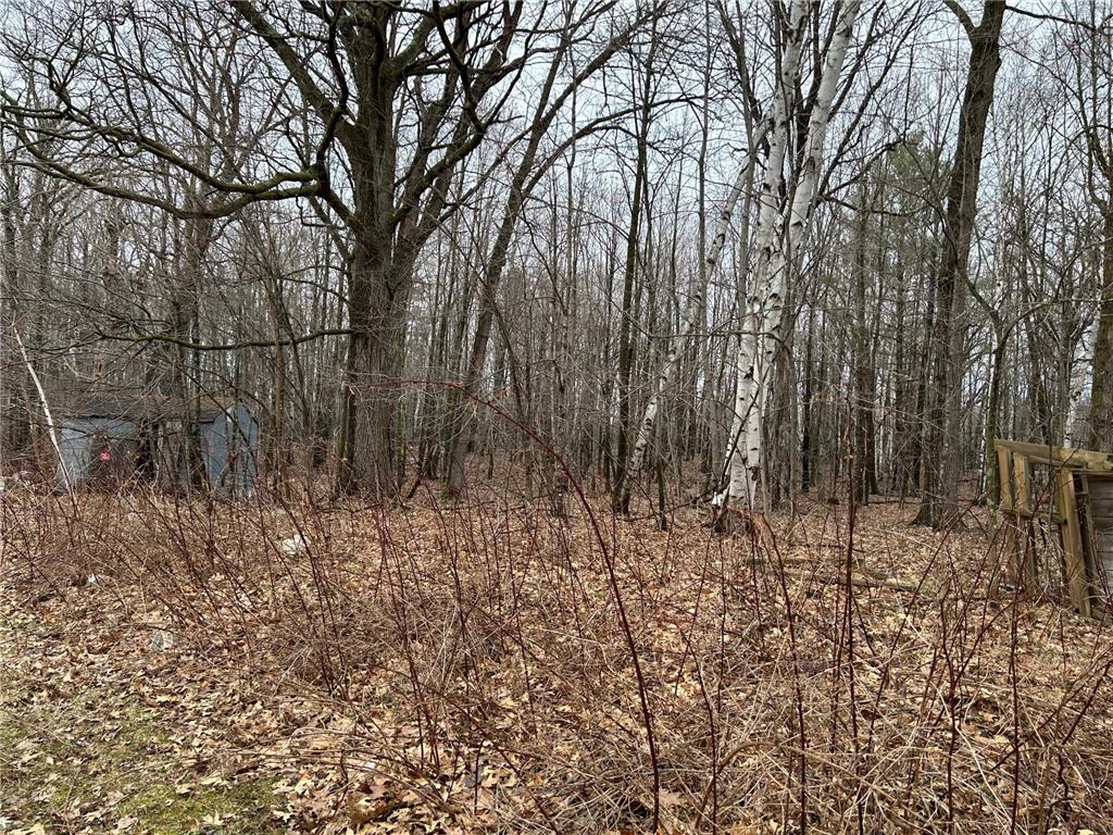 39178 Timber Trail Road Kathio Twp MN 56359 7057130 image10