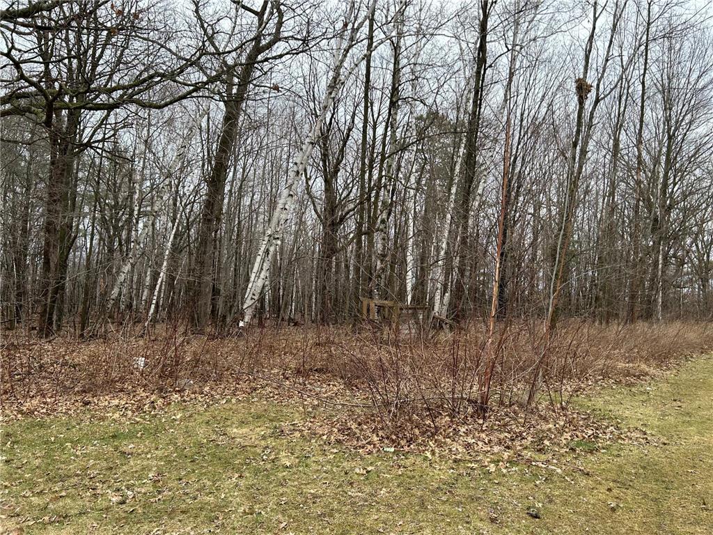 39178 Timber Trail Road Kathio Twp MN 56359 7057130 image12