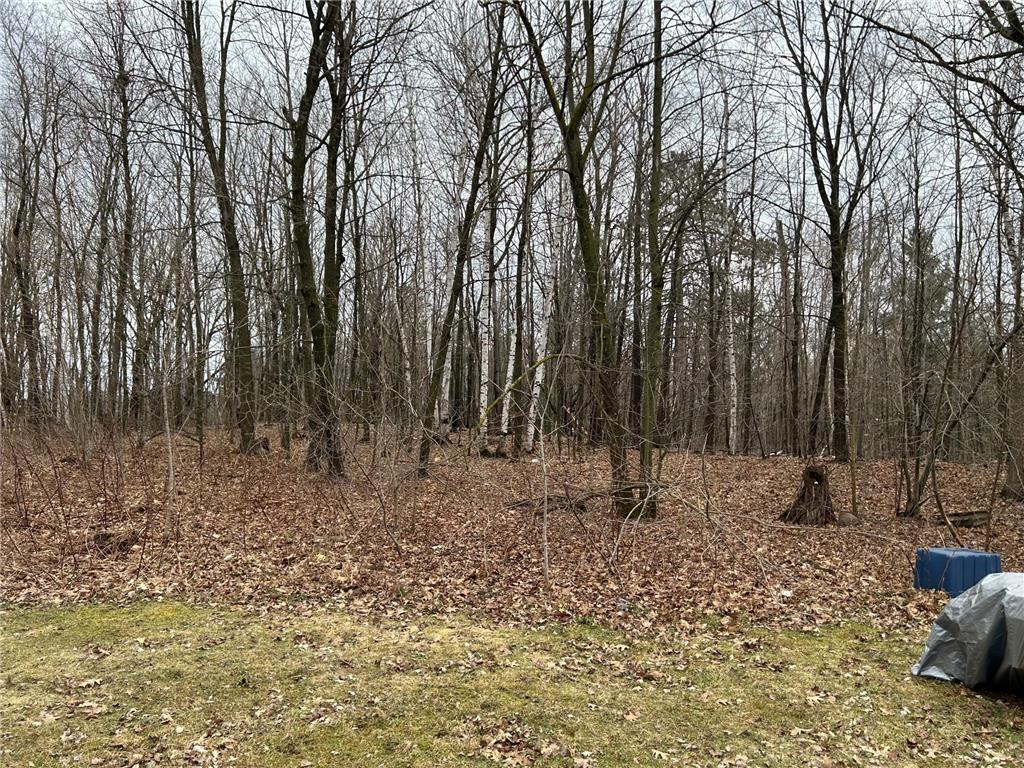 39178 Timber Trail Road Kathio Twp MN 56359 7057130 image19