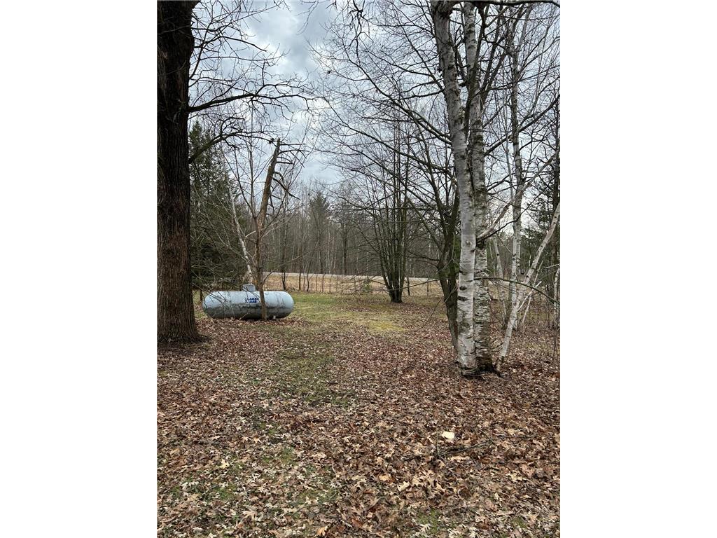 39178 Timber Trail Road Kathio Twp MN 56359 7057130 image7