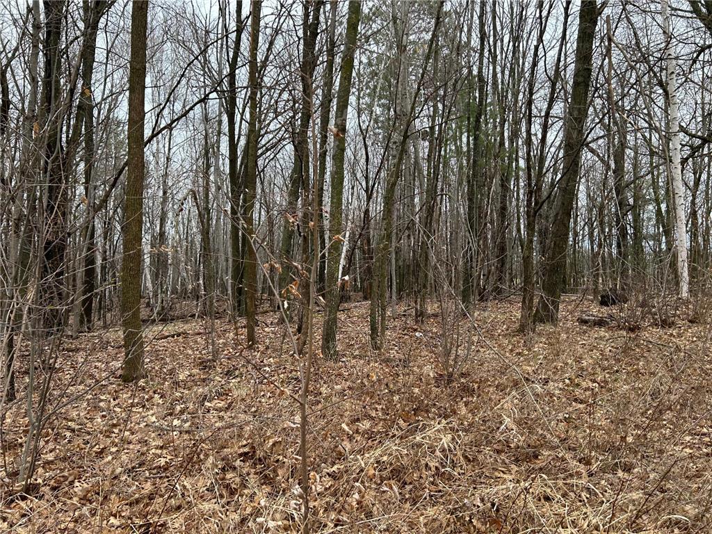 39178 Timber Trail Road Kathio Twp MN 56359 7057130 image8