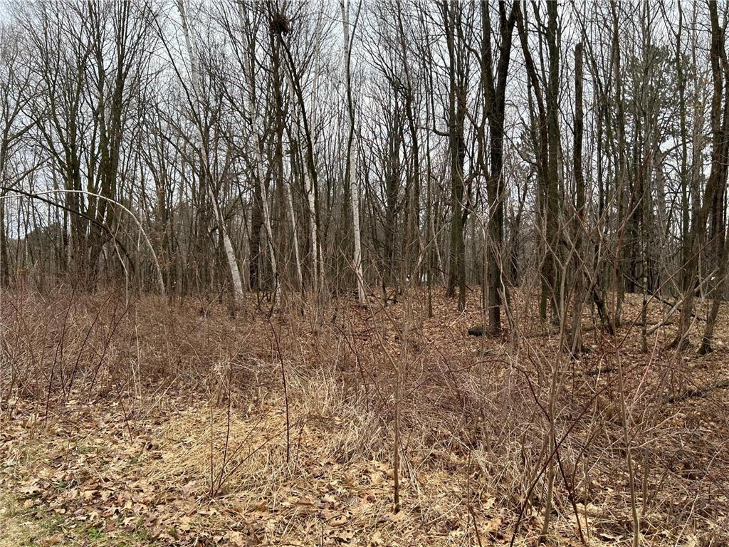 39178 Timber Trail Road Kathio Twp MN 56359 7057130 image9