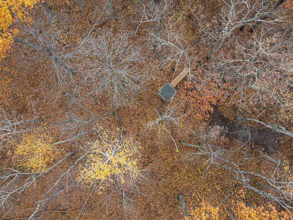 3918 44th Street SW Walden Twp MN 56474 6810385 image21