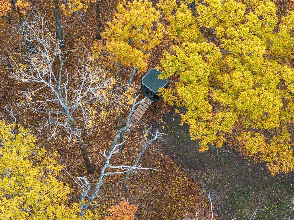 3918 44th Street SW Walden Twp MN 56474 6810385 image22