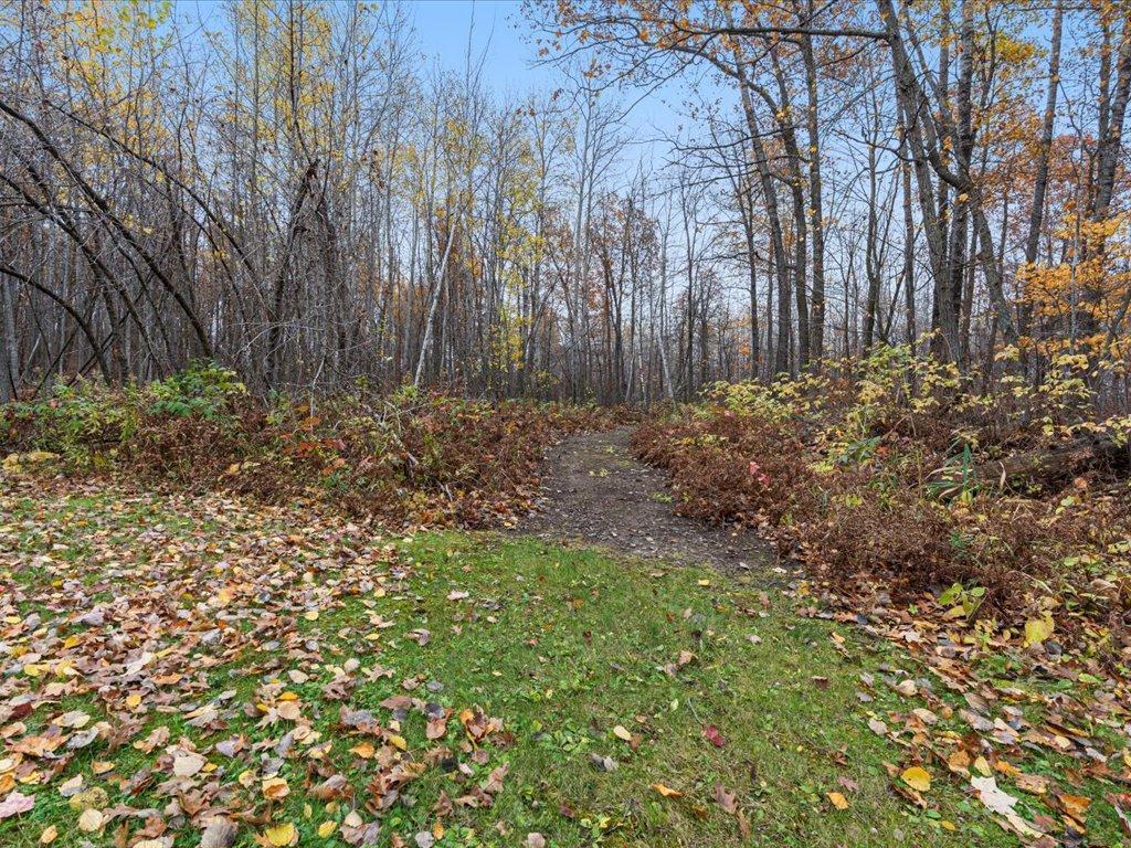 3918 44th Street SW Walden Twp MN 56474 6810385 image26