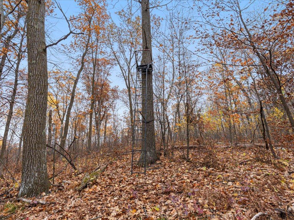 3918 44th Street SW Walden Twp MN 56474 6810385 image33