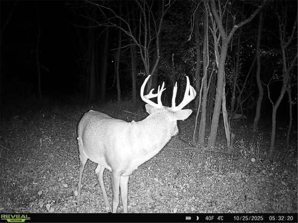 3918 44th Street SW Walden Twp MN 56474 6810385 image38