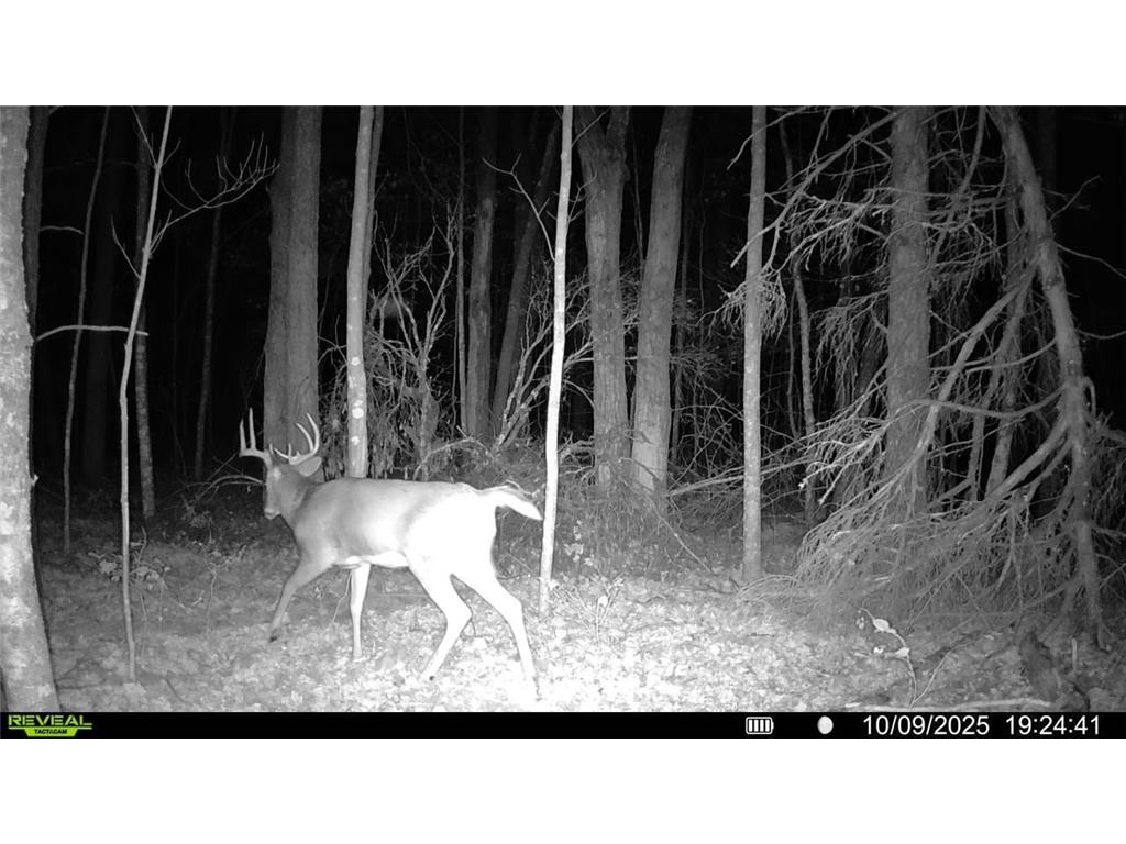 3918 44th Street SW Walden Twp MN 56474 6810385 image39