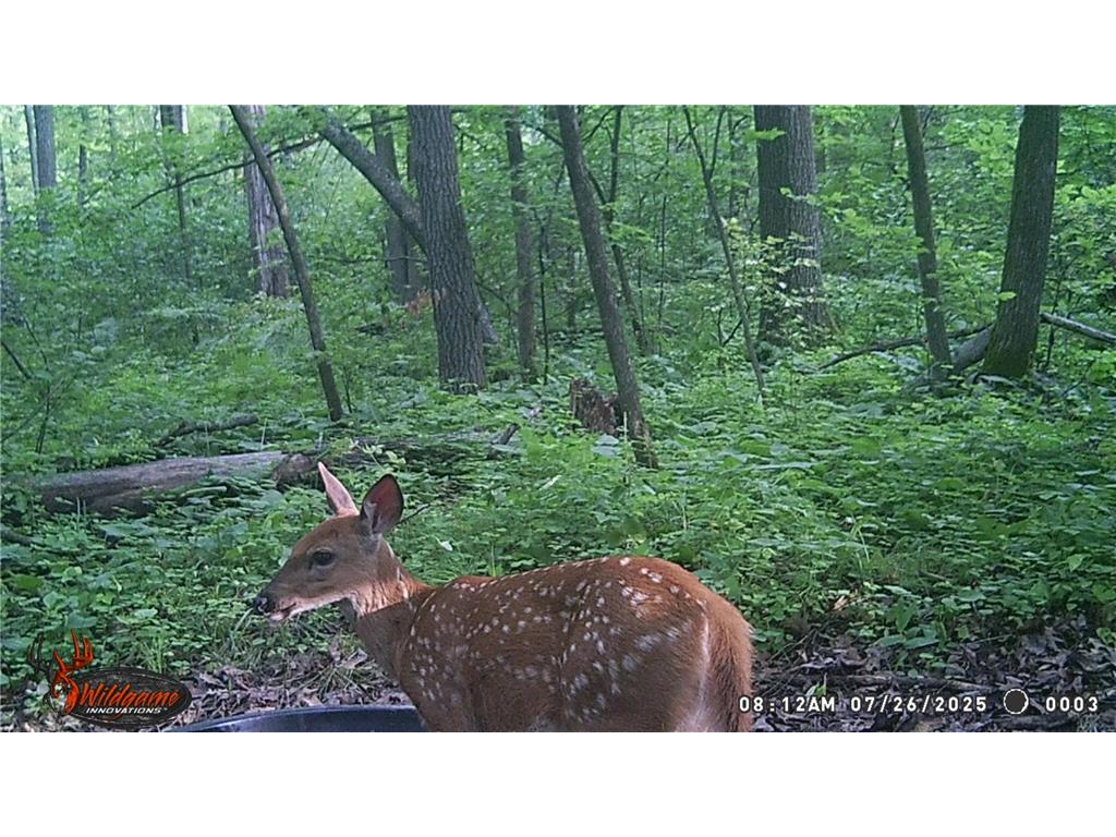 3918 44th Street SW Walden Twp MN 56474 6810385 image40