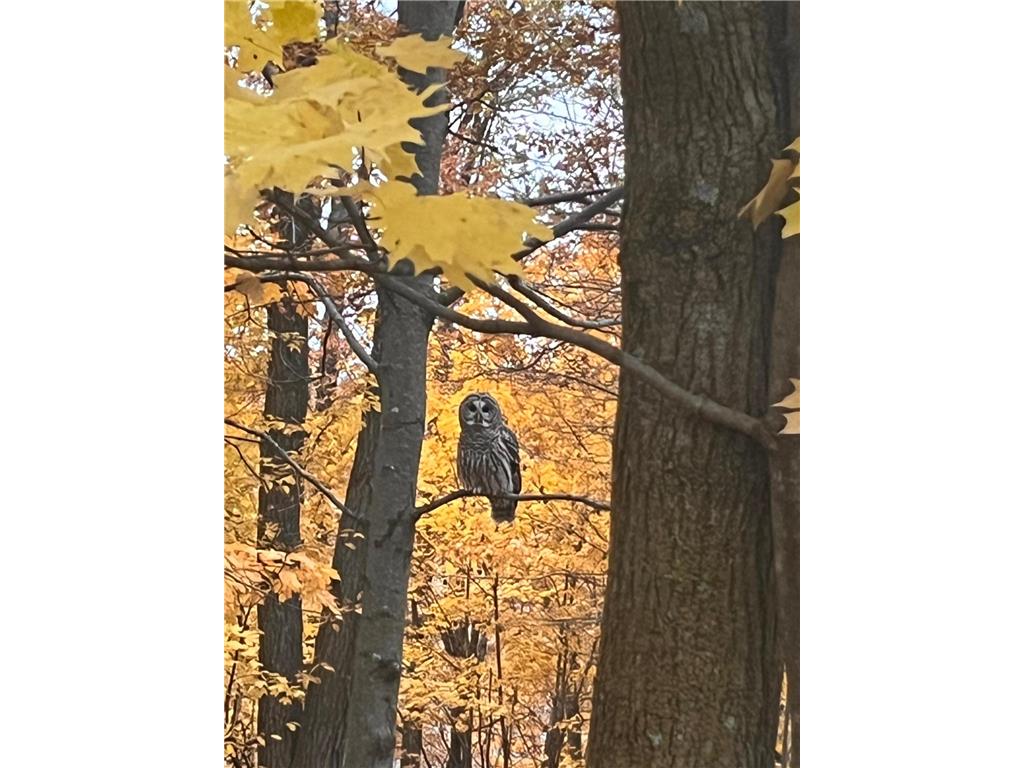 3918 44th Street SW Walden Twp MN 56474 6810385 image42