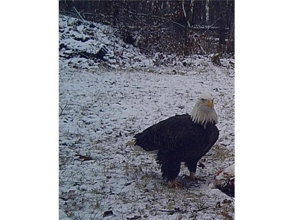 3918 44th Street SW Walden Twp MN 56474 6810385 image43