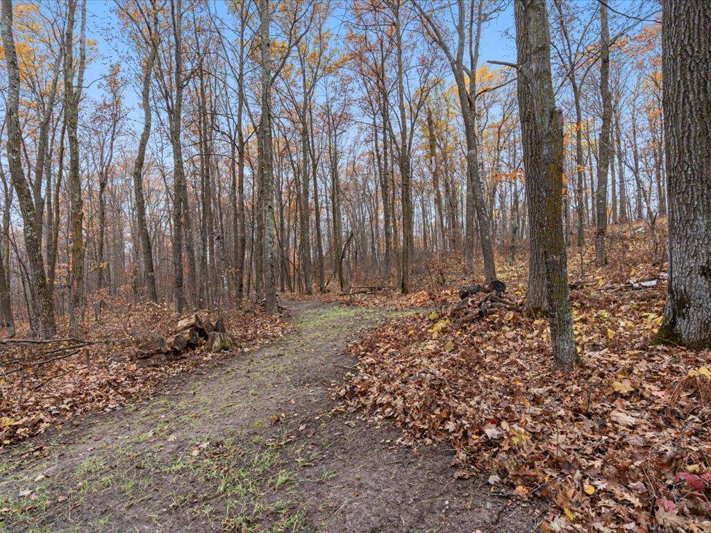 3918 44th Street SW Walden Twp MN 56474 6810385 image44