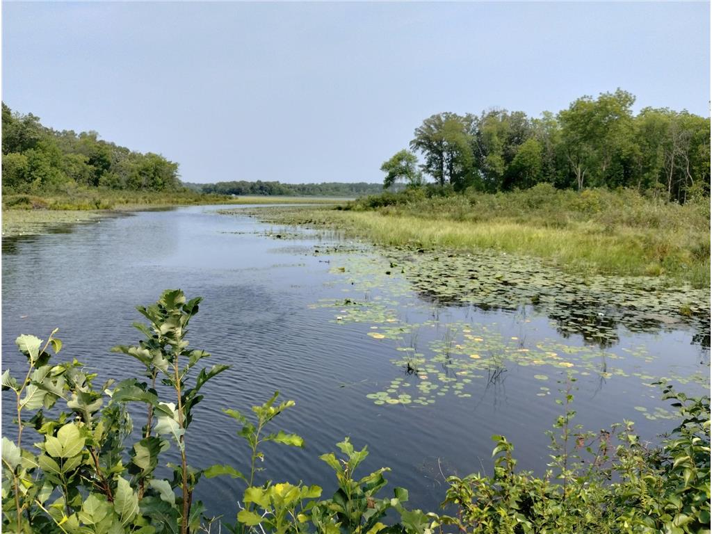 3918 County Road 168 Pequot Lakes MN 56472 - Sibley 7083669 image10
